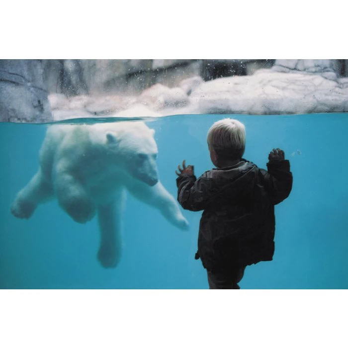 Aalborg Zoo - Årskort til en familie med to voksne og to børn